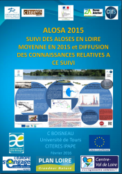 Icon of ALOSA : Suivi des aloses en Loire moyenne en 2015 et diffusion des connaissances relatives à ce suivi